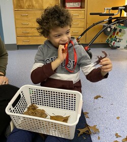 A young boy sits on the floor with a basket of dry leaves on his lap. He holds a leaf in one hand and looks at it.